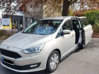 Gebraucht Ford Grand C-Max Titanium 150 PS (110 kW) 2015 Van / Kleinbus