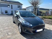 Gebraucht Ford Fiesta Titanium 101 PS (74 kW) 2016 Grau Kleinwagen