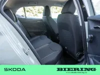 Neu Skoda Fabia Essence 95 PS (69 kW) 2026 Grün Kleinwagen