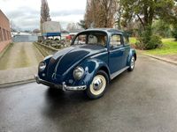 gebraucht VW Käfer 1200, Modeljahr 1959, EZ 1960, Dickholmer, Winker