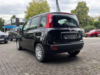 Neu Fiat Panda 69 PS (50 kW) 2025 Cinema schwarz Kleinwagen