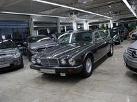 Gebraucht Jaguar XJ12 295 PS (216 kW) 1986 Grau Limousine