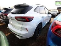 Neu Ford Kuga ST-Line 186 PS (136 kW) 2026 Frozen white SUV
