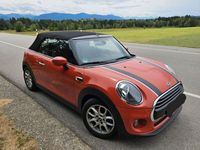 Gebraucht Mini Cooper 136 PS (100 kW) 2020 Orange Kleinwagen