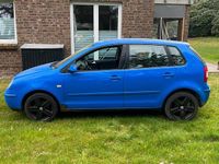 Gebraucht VW Polo 75 PS (55 kW) 2002 Blau Kleinwagen