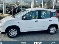 Gebraucht Fiat Panda Cross Cross 65 PS (47 kW) 2025 Weiß Kleinwagen