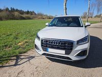 Gebraucht Audi Q2 Advanced Plus 116 PS (85 kW) 2024 Weiß SUV