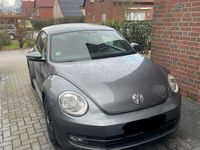 gebraucht VW Beetle New