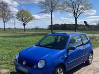 Gebraucht VW Lupo 60 PS (44 kW) 2002 Blau Kleinwagen