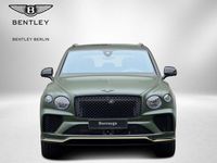 Brugt Bentley Bentayga 549 HK (403 kW) 2024 Grøn SUV