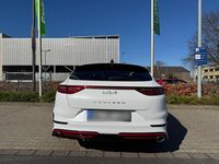 Gebraucht Kia ProCeed GT 204 PS (150 kW) 2024 Weiß Kombi
