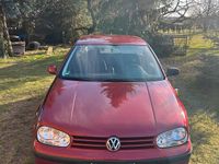 Gebraucht VW Golf IV 101 PS (74 kW) 2002 Rot Kleinwagen