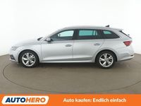 Gebraucht Skoda Octavia First Edition 150 PS (110 kW) 2020 Grau Kombi