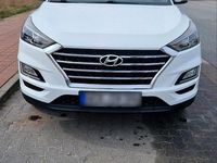 Gebraucht Hyundai Tucson Style 132 PS (97 kW) 2018 Weiß SUV
