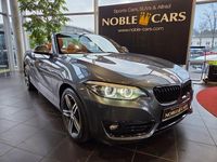 Gebraucht BMW 220 Sport Line 190 PS (139 kW) 2019 Grau Cabrio