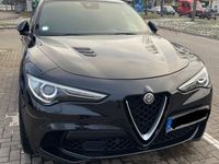 gebraucht Alfa Romeo Stelvio 2.9 Bi-T. V6 375kW Quadrifoglio AT8-...