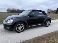 Gebraucht VW Beetle Allstar 105 PS (77 kW) 2016 Schwarz Kleinwagen