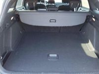 Usata Ford Focus ST-Line 150 CV (110 kW) 2022 Argento Berlina