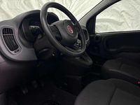 Neu Fiat Panda 69 PS (50 kW) 2025 Rot Kleinwagen