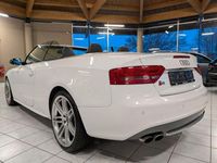 Gebraucht Audi Cabriolet Sport 333 PS (244 kW) 2010 Weiß Cabrio