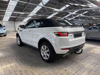 Gebraucht Land Rover Range Rover evoque 179 PS (131 kW) 2019 Weiß SUV