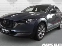 Gebraucht Mazda CX-30 Selection 122 PS (89 kW) 2021 Grau SUV
