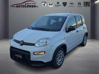 Gebraucht Fiat Panda 69 PS (50 kW) 2022 Gelato weiß Kleinwagen