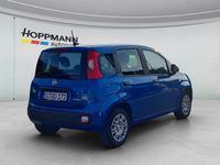 Gebraucht Fiat Panda 65 PS (47 kW) 2025 Blau Kleinwagen