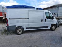 Gebraucht Fiat Ducato 120 PS (88 kW) 2009 Weiß Van