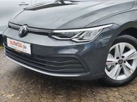 gebraucht VW Golf VIII LIFE Variant 1.5 TSI 130PS Urano Grau ACC Absta...