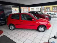 Usata VW Polo 60 CV (44 kW) 1997 Rosso