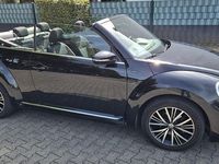 Gebraucht VW Beetle Allstar 105 PS (77 kW) 2016 Schwarz Kleinwagen