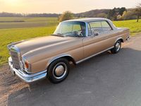 Gebraucht Mercedes 250 150 PS (110 kW) 1966 Gold Coupé