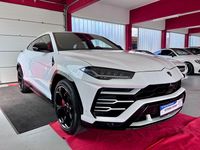 Gebraucht Lamborghini Urus 650 PS (478 kW) 2019 Weiß SUV