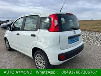 Gebraucht Fiat Panda Easy 69 PS (50 kW) 2019 Weiß Kleinwagen