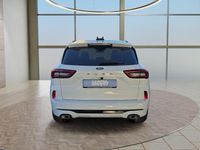 Neu Ford Kuga ST-Line 186 PS (136 kW) 2025 Frost weiß SUV