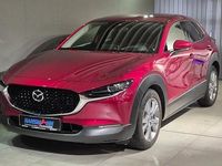 Gebraucht Mazda CX-30 Selection 122 PS (89 kW) 2022 Rot SUV