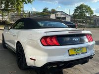 Gebraucht Ford Mustang GT 310 PS (228 kW) 2020 Weiß Cabrio
