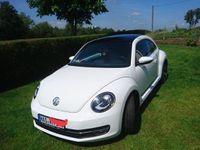 gebraucht VW Beetle 1.6 TDI BlueMotion Technology BlueMot...