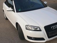 Gebraucht Audi A3 Cabriolet Ambition 160 PS (117 kW) 2011 Weiß Cabrio