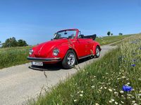Gebraucht VW Käfer 50 PS (36 kW) 1975 Rot Cabrio