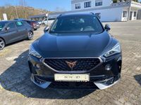 gebraucht Cupra Formentor 1.5 DSG Pano Kamera 19" LM ACC el. Heckklappe