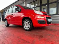 Gebraucht Fiat Panda Easy 69 PS (50 kW) 2018 Rot Kleinwagen