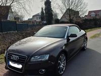 Gebraucht Audi A5 Cabriolet 211 PS (155 kW) 2010 Braun Cabrio