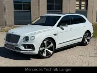 Brugt Bentley Bentayga 608 HK (447 kW) 2017 Hvid SUV