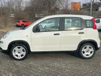 Gebraucht Fiat Panda 70 PS (51 kW) 2024 Weiß Kleinwagen