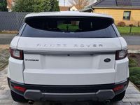 Gebraucht Land Rover Range Rover evoque SE Dynamic 150 PS (110 kW) 2016 Weiß SUV