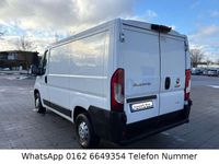 Gebraucht Fiat Ducato 116 PS (85 kW) 2018 Weiß Van
