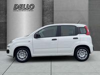 Neu Fiat Panda 69 PS (50 kW) 2025 Gelato weiß Kleinwagen