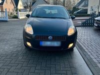 gebraucht Fiat Punto 